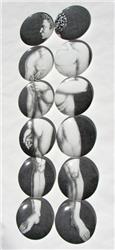 ADAMO BLACK AND WHITE 12 PLATE SET